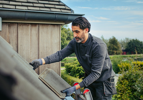 Tips voor schadepreventie en herstel in het voorjaar